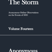 The Storm: Volume Fourteen