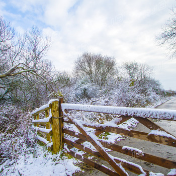 Snowy Gate, St Keverne, Cornwall.