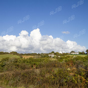 Lizard Hideaway, Cornwall.