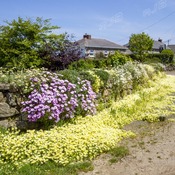 Newtown, Lizard, Cornwall.