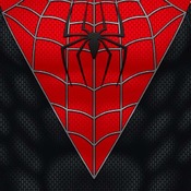 Spider-M 2002 Alex Ross/Raimi Concept Cosplay Pattern