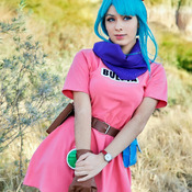 Bulma - 15 fotos HD