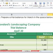 ACCT500: Course Project Solution