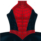 2002 Raimi Pattern (No front logo)