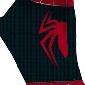 2002 Raimi Pattern V1