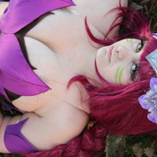 Elderwood Ahri set
