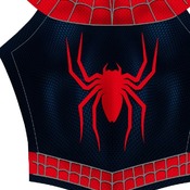 Spider-Man 2 Pattern