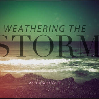 Weathering the Storm against Narcissistic Invasion part 1