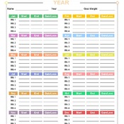 Annual Weight Loss Tracker Colorful