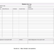 Diabetes Care Log School