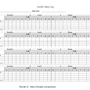 Insulin Pump Log