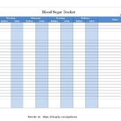 Kids Diabetes Blood Sugar Log