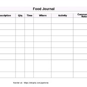 Large Print Food Journal