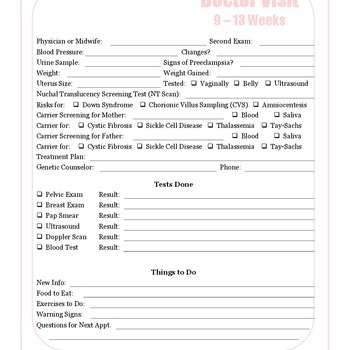 Pregnancy Journal 9-13 Weeks