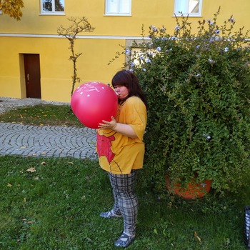 Herz und Natur Fotoalbum