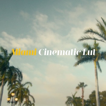 MIAMI Cinematic Lut