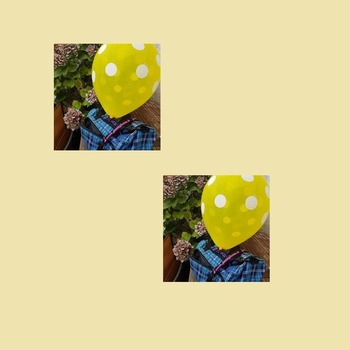 Q16er  gemischt 1 Fotoalbum