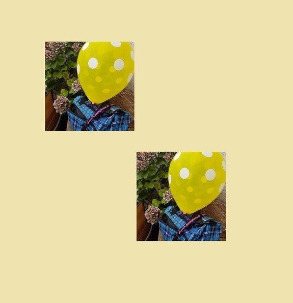 Q16er komplett Fotoalbum