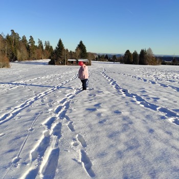 Schnee und Ballons Komplett 8 Fotoalbum