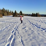 Schnee und Ballons Komplett 8 Fotoalbum