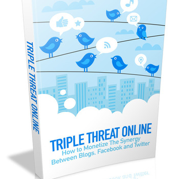 Triple Threat Online - How to Monetize the Synergy between Blogs, Facebook and Twitter