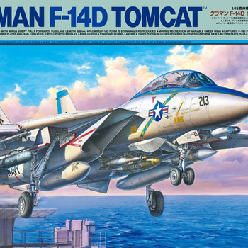 F-14D Tomcat Model