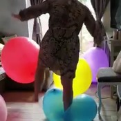 Jodie stepping on huge balloons