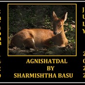 Agnishatdal Shraban 1429, July 2022