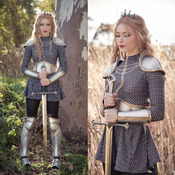 Knight (16 photos)