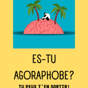 Es-tu Agoraphobe?