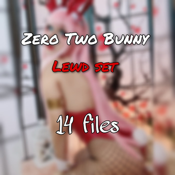 Bunny 002 lewd set ( 14 files )