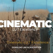 Cinematic LUT Excellence