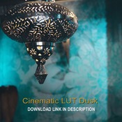 Cinematic LUT Dusk