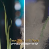 Cinematic LUT Dusk