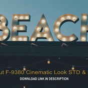 Lut F-9380 Cinematic Look STD & LOG