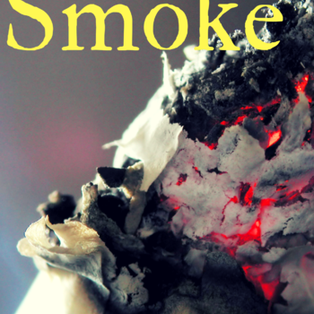 The Smoke-Willpower to Quit Smoking