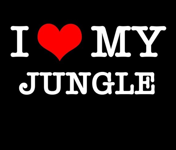 Ragga Jungle Mix
