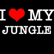 Ragga Jungle Mix