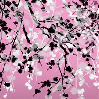 Black and White Blossoms on Pink background