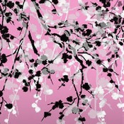 Black and White Blossoms on Pink background