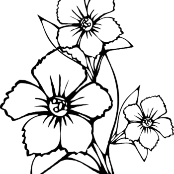 2 Color Flower Trainer
