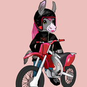 BikerGirlDonkey