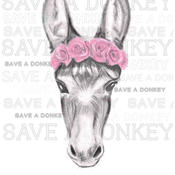 SaveTheDonkey's