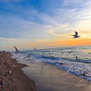 Florida sunset on the Gulf Coast