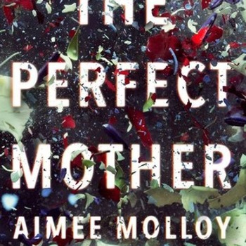 The Perfect Mother by Aimee Molloy