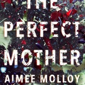 The Perfect Mother by Aimee Molloy