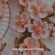 5 Professional LUT Styles