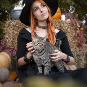 Pumpkin Witch - Original