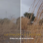 LutCineLOG + C-LOG Cube