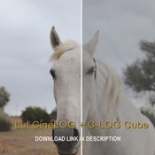 LutCineLOG + C-LOG Cube